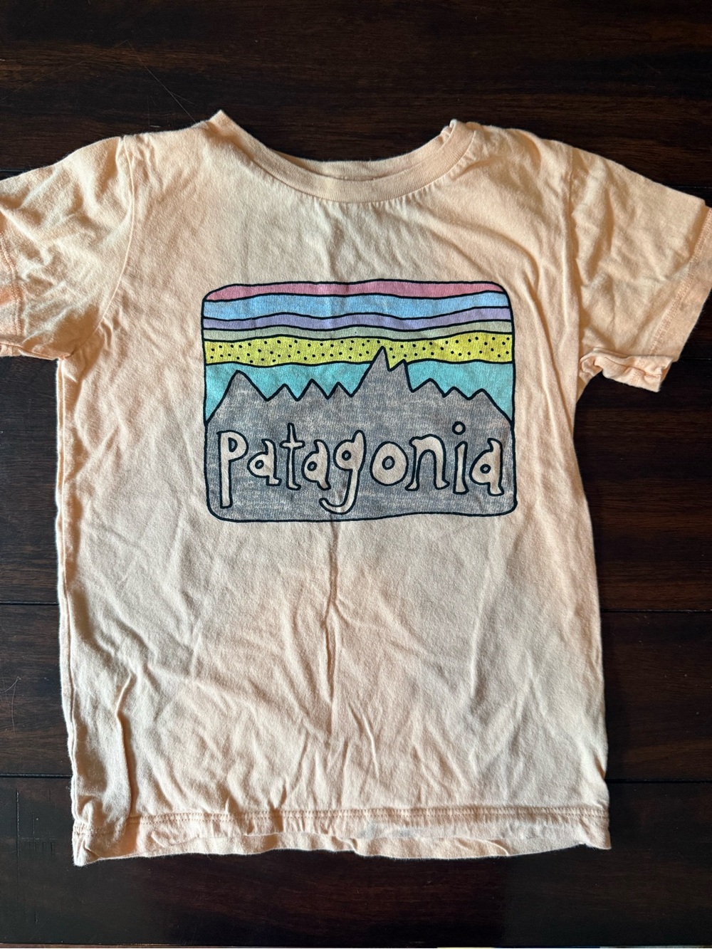 Patagonia Kids Pale Pink Graphic Logo Pajama Top